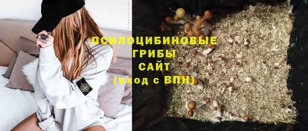 тгк Белокуриха