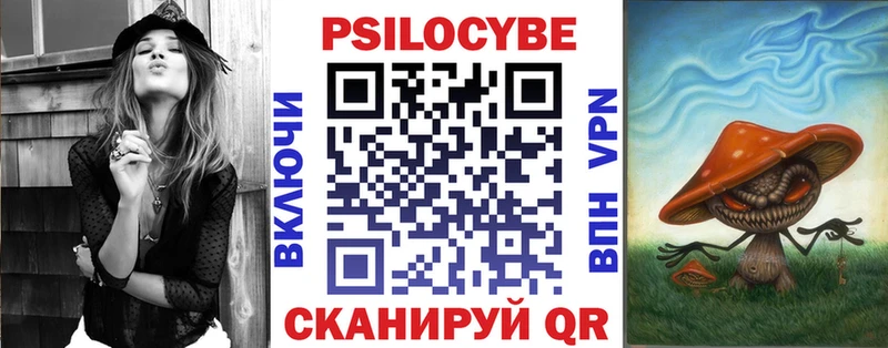 Купить закладки Курлово Псилоцибиновые грибы Psilocybine cubensis